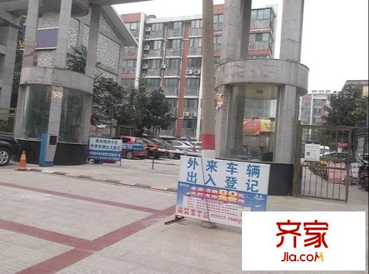 楓林綠洲外景圖 