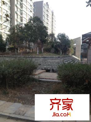 楓林綠洲外景圖 