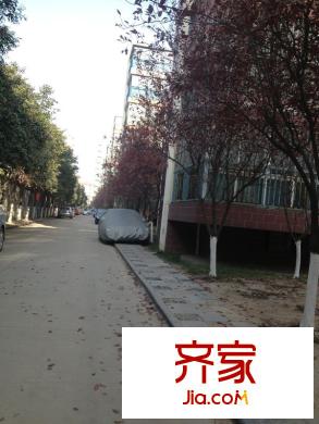 楓林綠洲外景圖 