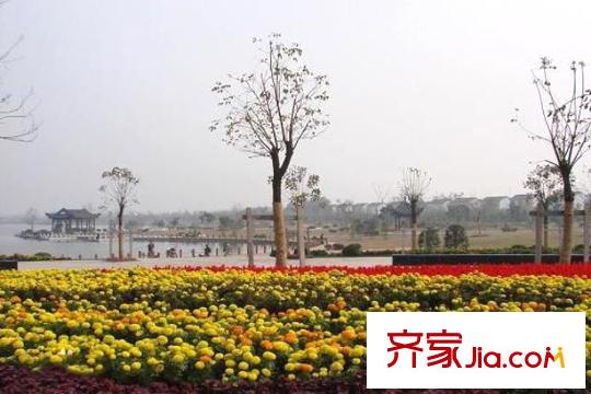 港利上城國際西北2公里九里湖濕地公園