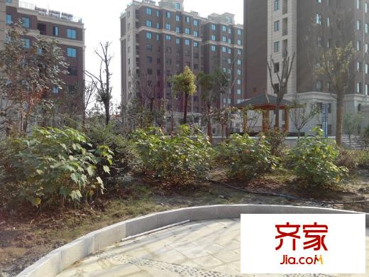 西城晶華現(xiàn)房（2014-09-04）