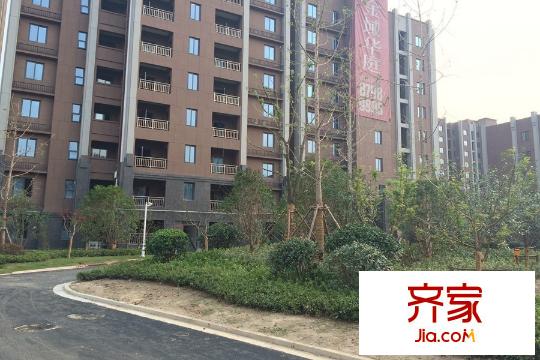 金域華庭小區(qū)綠化（2015-08-25）