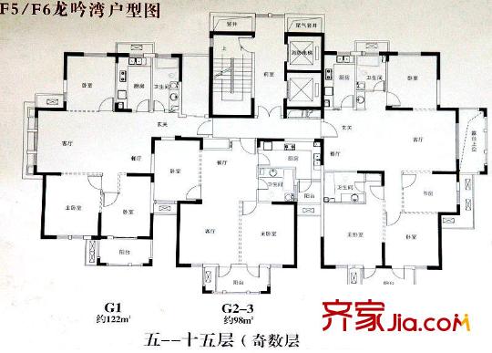 開元云龍谷龍吟灣F5、F6奇數(shù)層平面圖 