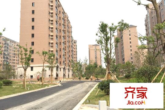東南郡小區(qū)綠化