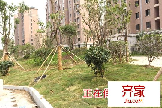 東南郡小區(qū)綠化