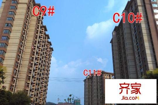 國基逸境C9#C10#C11#現(xiàn)房（2015-8-31）