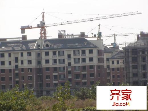 豐惠華麗家族（2011-10-19）
