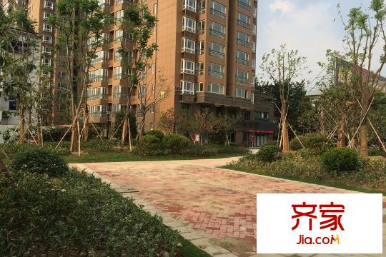 福匯雅園小區(qū)綠化（2015-08-25） 
