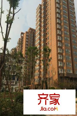 福匯雅園小區(qū)綠化 （2015-08-25）