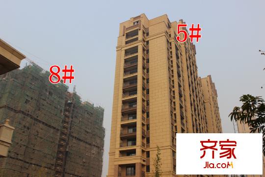 寶信潤山御林8#5#工地（2015-10-26）