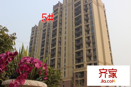 寶信潤山御林5#工地（2015-10-26）
