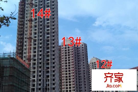 楓林天下12#13#14#工地（2015-10-8）