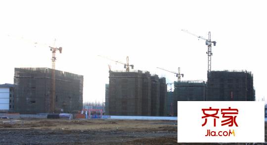 阿爾卡迪亞文承苑工地（2012-02-09）