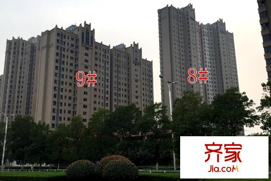 美的城8#、9#工地（2015-10-30）