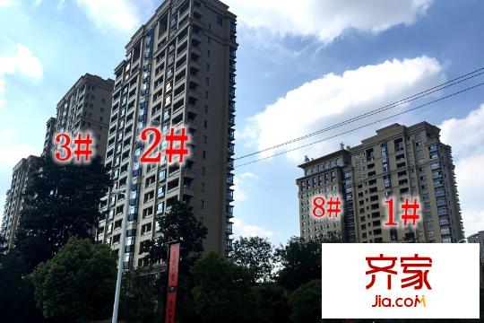 璽悅龍城2#、3#、1#、8#工地（2015-09-16）