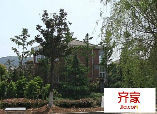 久隆紫園外景圖徐州  