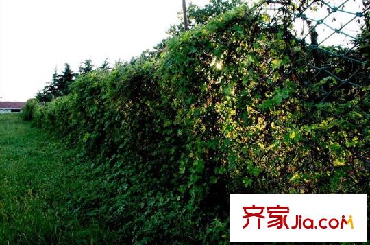 恒龍依山龍郡配套圖向南200米泉山森林公園_001_