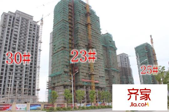 綠地之窗