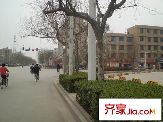 阿爾卡迪亞交通圖周圍路況