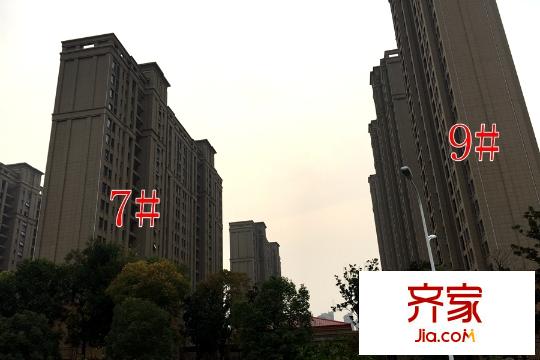 月星?星湖灣準現(xiàn)房（2015-10-30）