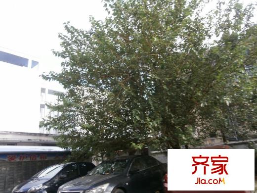 華聯(lián)新村外景圖 