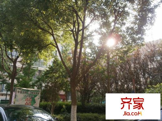 驊東名仕豪庭外景圖 