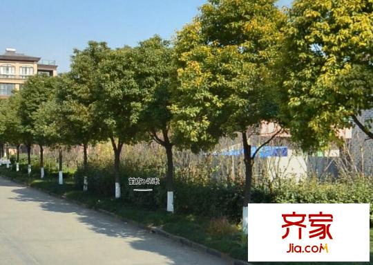 星蘇花園外景圖 