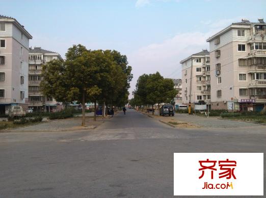 善成小區(qū)外景圖 