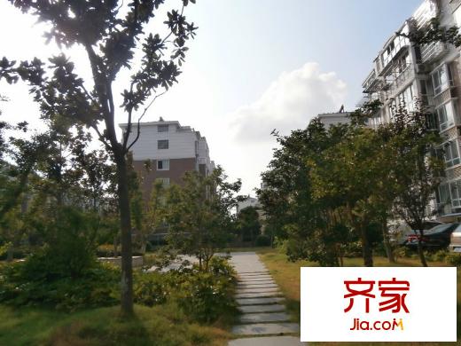 安東小區(qū)外景圖 