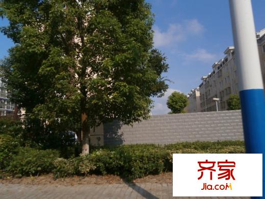 安東小區(qū)外景圖 