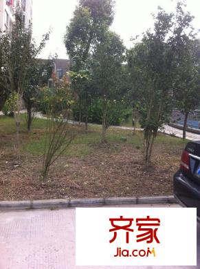 世紀(jì)花苑外景圖 