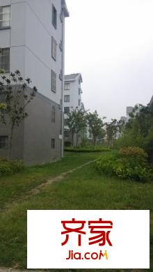 新光小區(qū)外景圖 