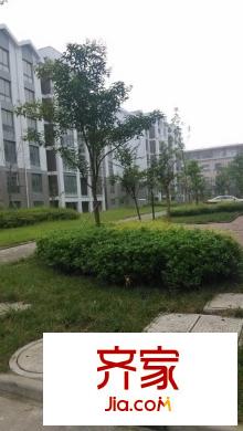 新光小區(qū)外景圖 