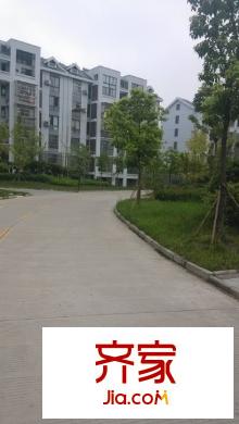 新光小區(qū)外景圖 