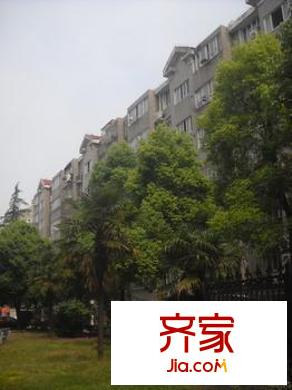金橋園