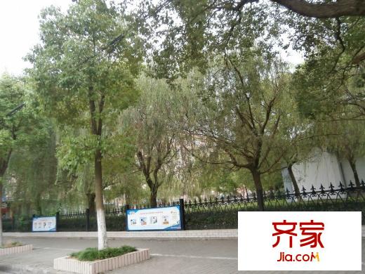 長龍?jiān)吠饩皥D 
