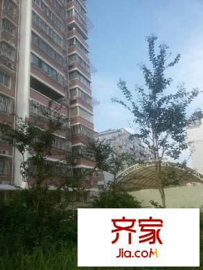 金橋小區(qū)外景圖 