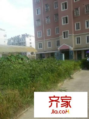 金橋小區(qū)外景圖 