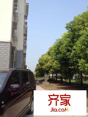 日新小區(qū)外景圖 