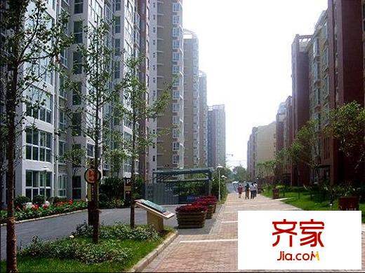 郑州鑫苑中央花园西区实景图-齐家网小区库