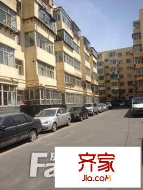 政府家屬院實景圖小區(qū)實景