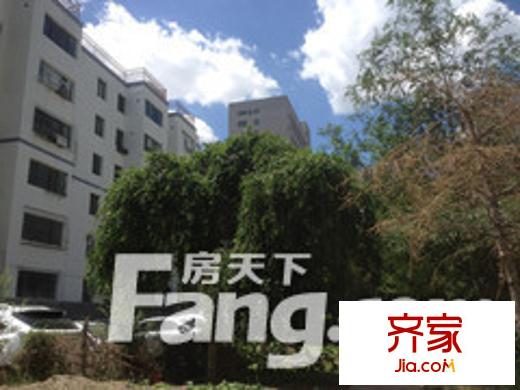 新市區(qū)地稅局小區(qū)實景圖環(huán)境