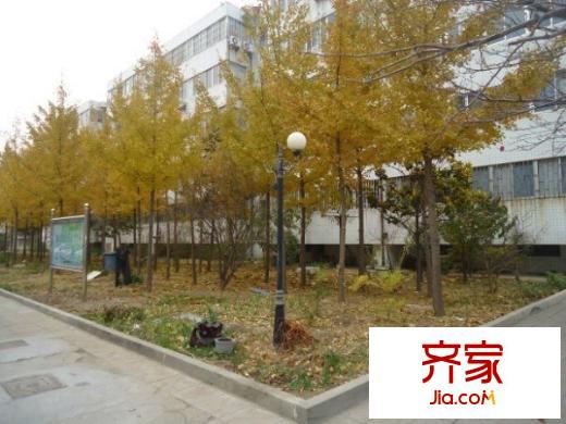魯偉宿舍外景圖（20121125）