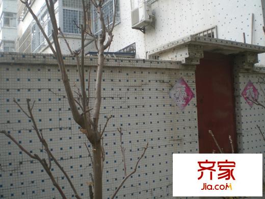 交警支隊(duì)宿舍(奎文區(qū))外景圖奎文區(qū)交警支隊(duì)宿舍 （2014.11.24）