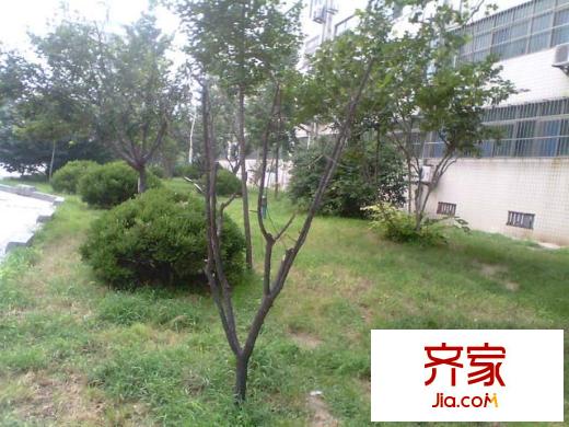 交警隊(duì)宿舍外景圖