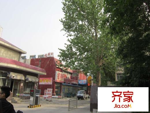 老市府宿舍外景圖
