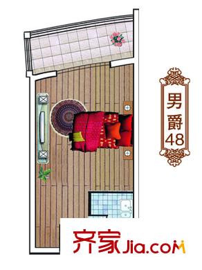 鉑金領(lǐng)域戶型圖A、B棟標(biāo)準(zhǔn)層男爵戶型 1室1衛(wèi)