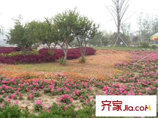 浞景翠園配套圖向西約500米浞河景區(qū)