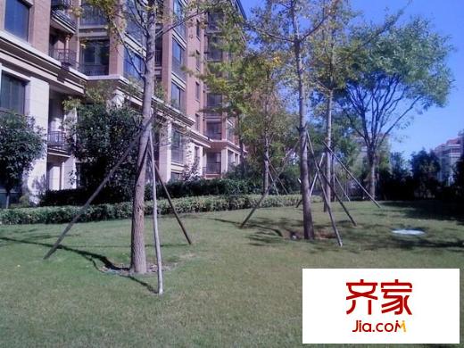 銀河丹堤外景圖 