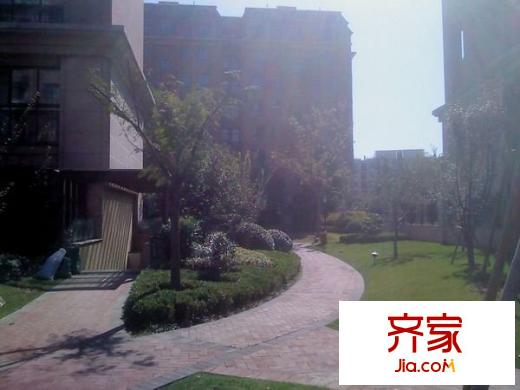 銀河丹堤